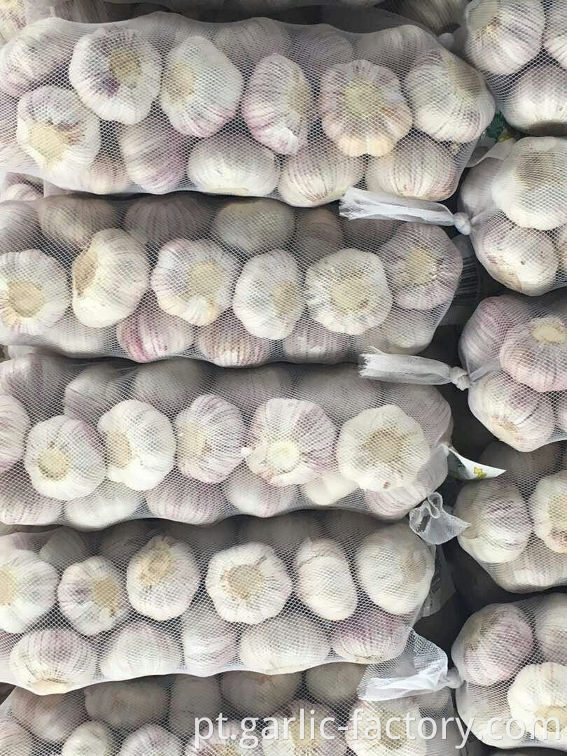 Small packing pure white Garlic